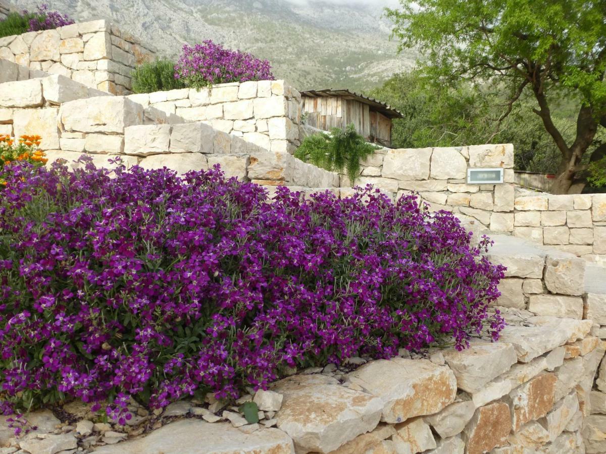 Villa Kuca Za Odmor Viola Živogošće Exterior foto